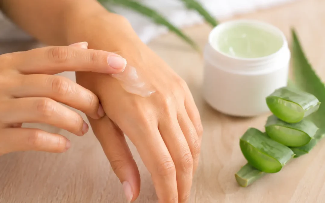 Aloe Vera und Beauty: Warum die Pflanze in der Hautpflege so beliebt ist
