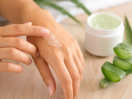 Aloe Vera und Beauty: Warum die Pflanze in der Hautpflege so beliebt ist Aloe Vera und Beauty: Warum die Pflanze in der Hautpflege so beliebt ist