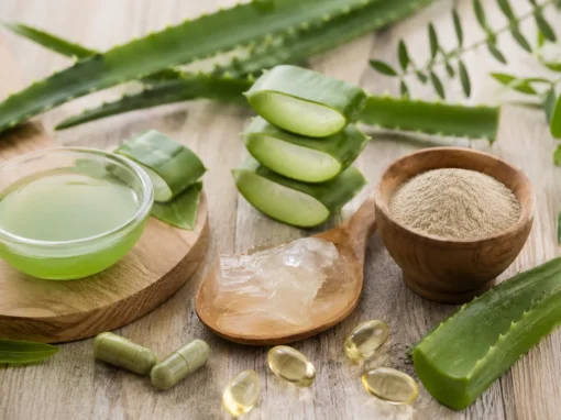 Aloe Vera Inhaltsstoffe: Was steckt wirklich in der Pflanze? Aloe Vera Inhaltsstoffe: Was steckt wirklich in der Pflanze?